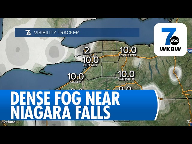 Buffalo Weather Update: Foggy Morning, Mild Afternoon