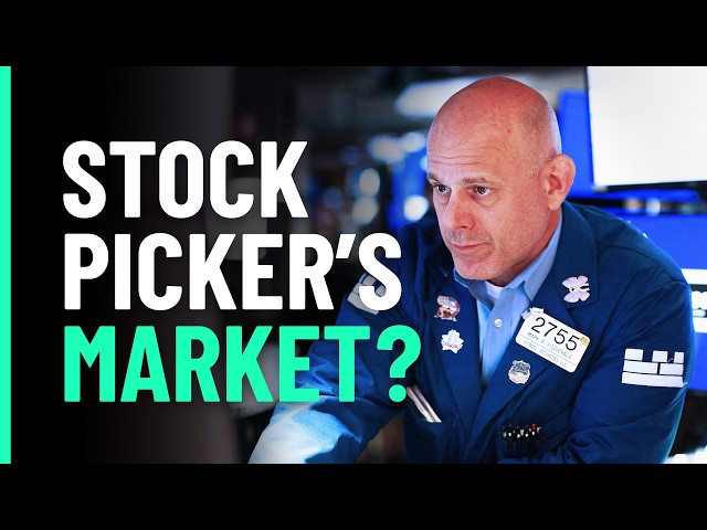 The Next Nvidia? These Stocks Could Be Early Winners