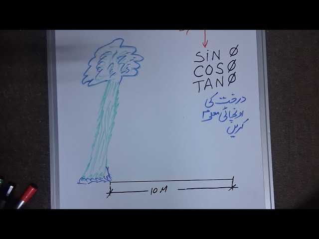 How to find height of any tree or tower | For bigners |