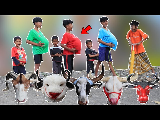 AS A RESULT OF EATING YUPI CANDY, HER BELLY ENLARGED, PREGNANT WITH A BANTENGAN MBEROT