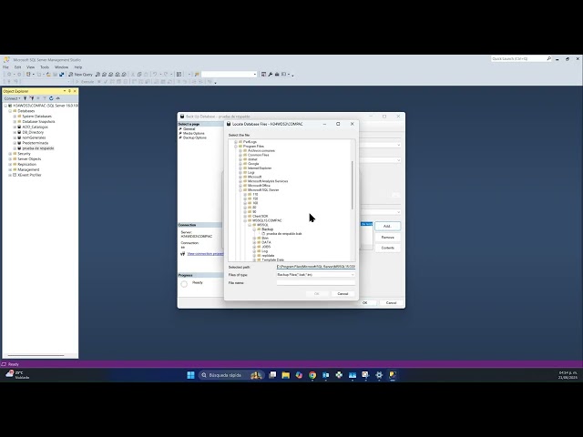 Cómo hacer un respaldo de base de datos y restaurarlo en SQL Server