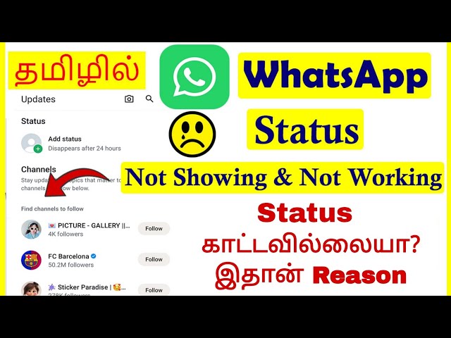 How to Fix WhatsApp Status Not Showing & Not Working Tamil | VividTech