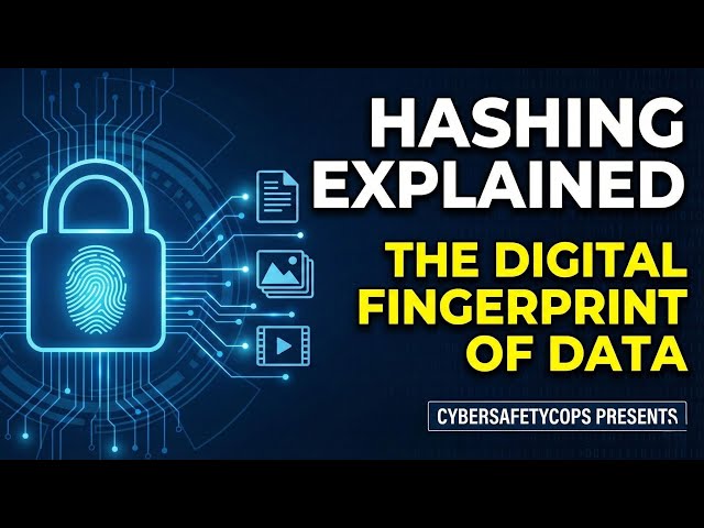 What is Hashing? The Digital Fingerprint Explained ,Understanding Hash Values: MD5, SHA1 & SHA256