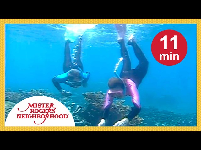 Snorkeling with Sylvia Earle | Mister Rogers' Neighborhood