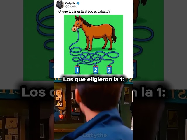 ¿Cuál Es La Opción Correcta? 🤔