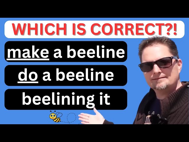 Confusing Vocabulary! make a beeline, beeline it to, beeline it for, beelining, COMPREHENSIBLE INPUT