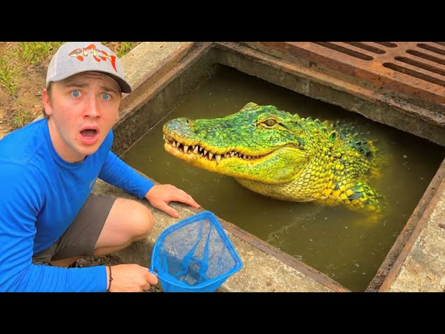 I Found Rare Fish in an Alligator Infested Sewer!