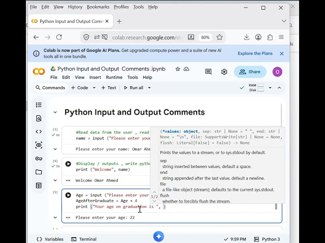 Python Input and Output