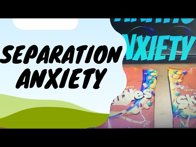 Separation Anxiety Challenge