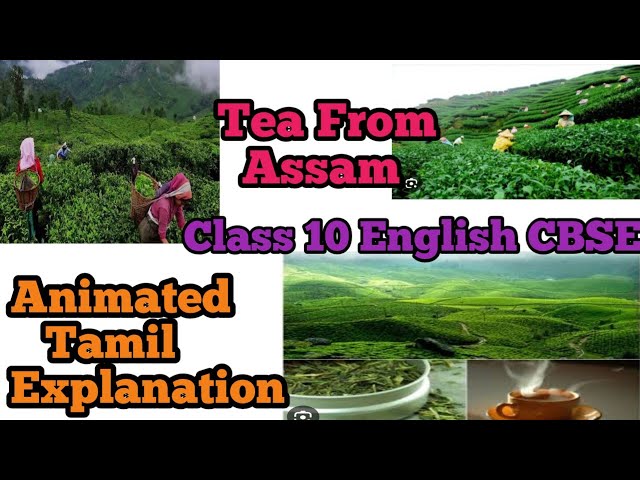 Glimpses of India Part 3 Tea from assam Class 10 CBSE English