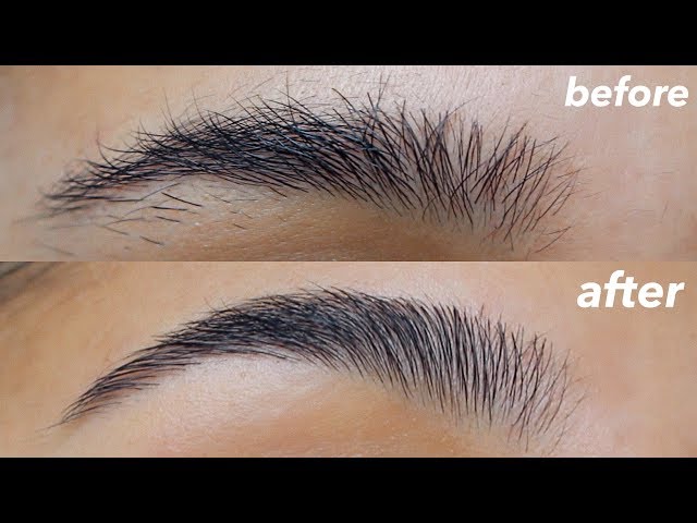 HOW TO GROOM + SHAPE YOUR EYEBROWS! (super easy + at home) | Canela Trigueros