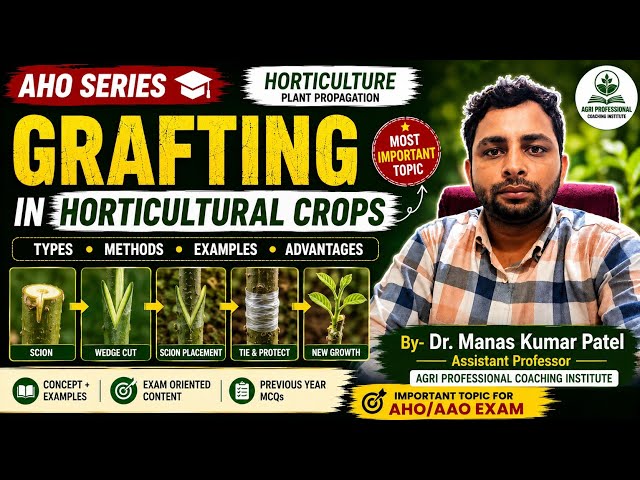 🚨Grafting in Horticultural Crops | Types, Methods & Advantages | AHO Series | Horticulture