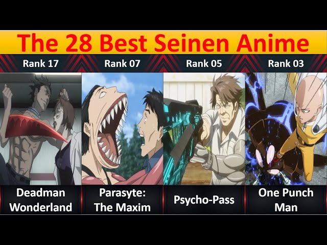 Ranked, The 28 Best Seinen Anime Of All Time