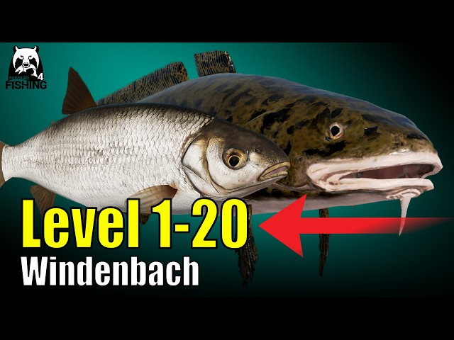 Level 1-20 Silver and XP! - Russian Fishing 4 - Windenbach RF4 Beginner Float Fishing Guide #rf4