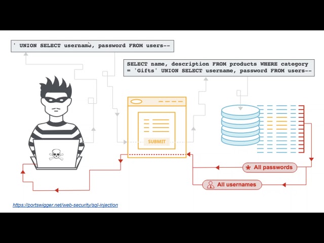 CS3319 Databases Video Assignment - SQL injections