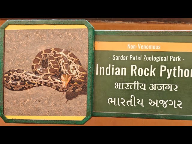 Indian Rock Python Exhibit @ Sardar Patel Zoological Park, Statue Of Unity, Gujarat, India