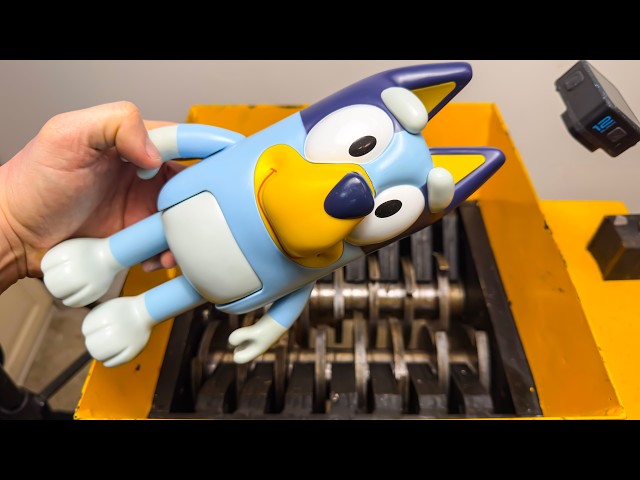 Shredding BLUEY!
