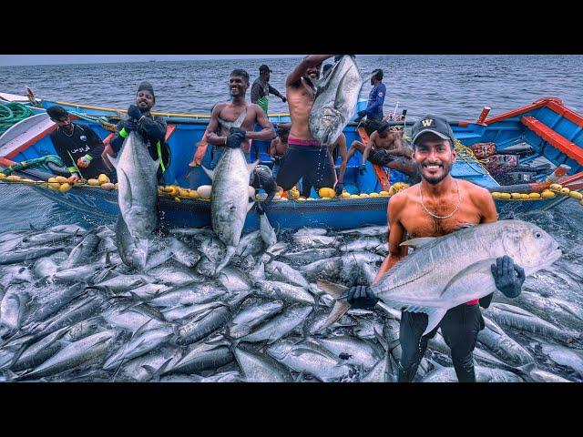 ¡Increíble pesca monstruosa! Montones de jureles en una sola captura 🤯 | Pesca de altura