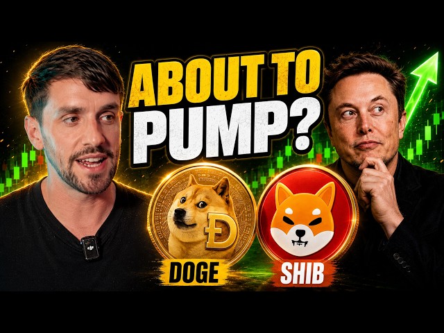 Dogecoin and Shiba Inu are about to go crazy!