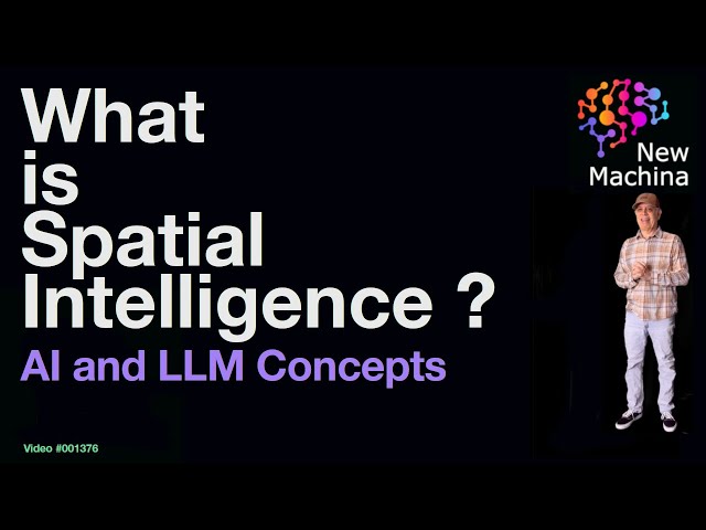 What is Spatial Intelligence ?