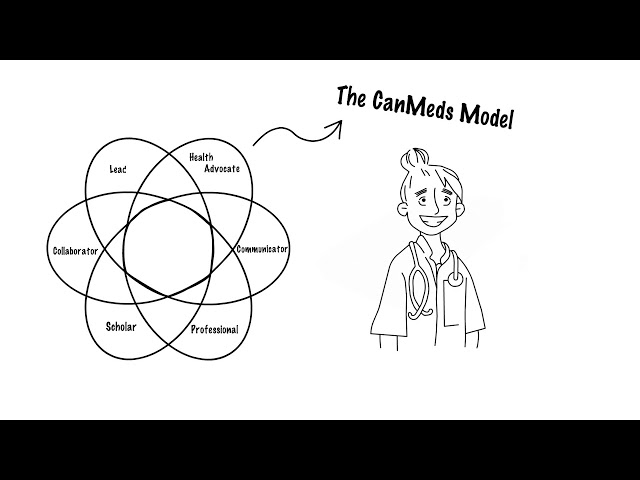 Becoming a medical professional  with the CanMeds model