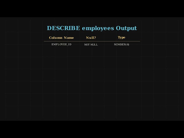 Connect to Oracle SQL & Find Schema Details (Step-by-Step)