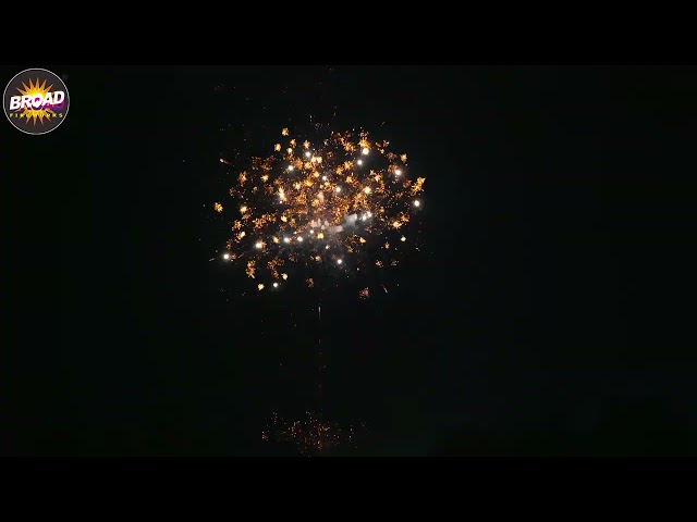 2025 NEW BM2425-1-25 25*30*175MM 24SHOTS MIX SHAPE F2 CAKE