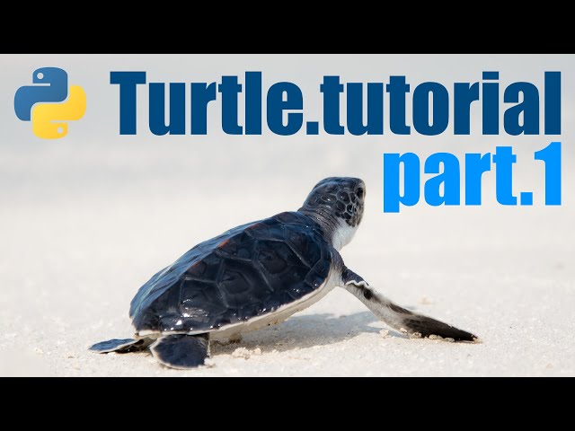 Python Turtle Tutorial - Lesson 1 - Basic movement