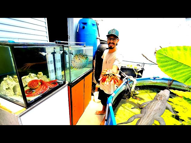 I set up an aquarium with seawater for my marine creatures.