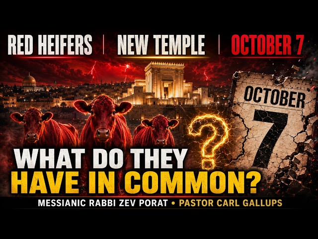 Red Heifers A New Temple What Do They Have In Common Prepare for A Shock Zev Porat And Carl Gallups