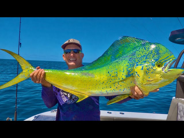 Deep Sea Fishing! Mahi Mahi | Tuna | Snapper {Catch Clean Cook} DMFD Life Ponce Inlet