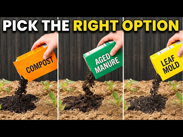 Compost vs Aged Manure vs Leaf Mold — A 45-Year Gardener's Verdict