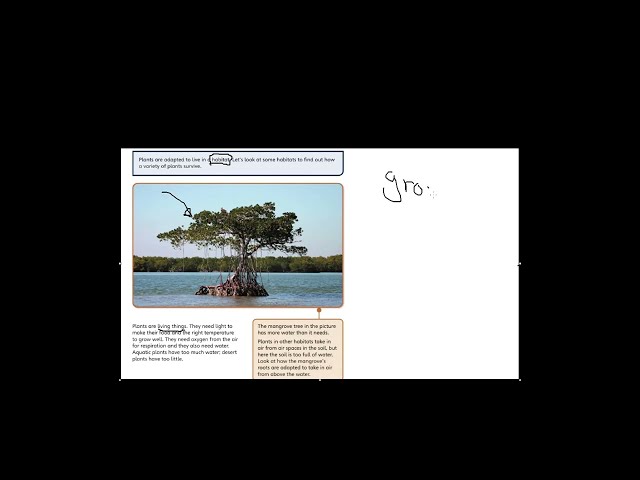 Tutorial Plant Adaptations 1 (Pearson - Science - Grade 5)