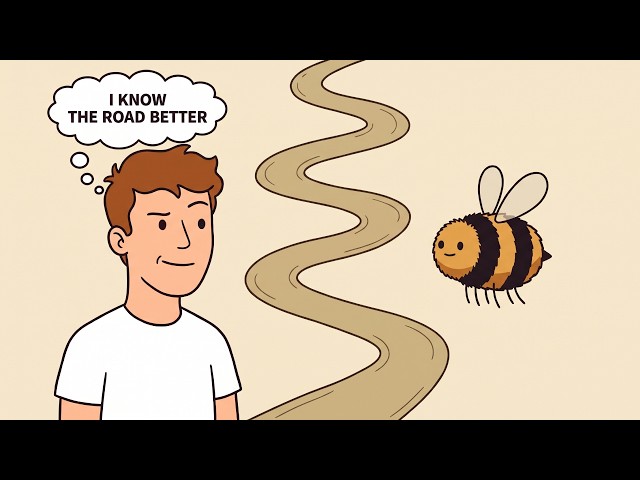 What a Bee's Secret Flight Path Reveals About Its Mind