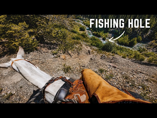 Searching For Wild Trout In A Remote Mountain Stream