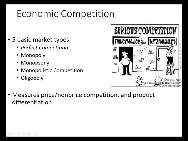 Perfect Competition Model Explanation
