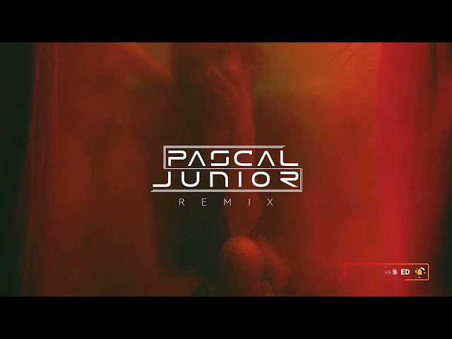 John Creamer, Lance Jordan, Stephane K - Last Night I Was Dreaming (Pascal Junior Remix)