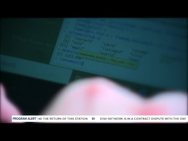 USF 'Coding Bootcamp' program launches | The Rebound Tampa Bay