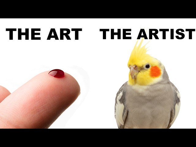MEMES DE PAJARITOS