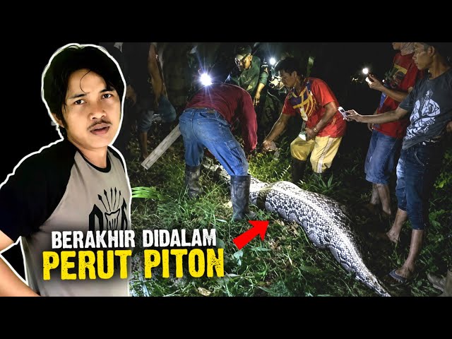Never Returned Home: Palm Oil Farmer Found Inside Giant Python