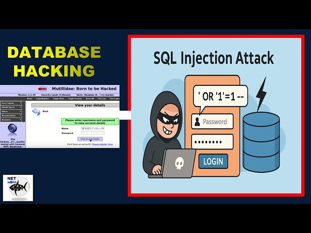 SQL Injection with Mutillidae