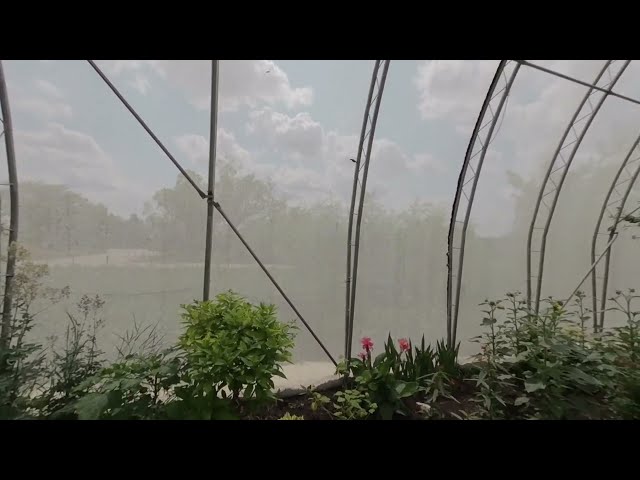 Butterfly section - Manitoba Zoo, Vuze XR, VR 180° (5.7K), Winnipeg, Manitoba, Canada - Watch in 3D
