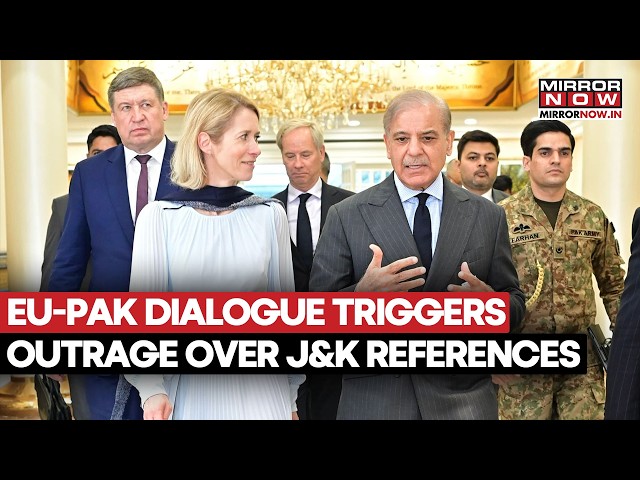 EU–Pakistan Move Sparks India Fury By Linking J&K With Ukraine War | Diplomatic Firestorm Explained