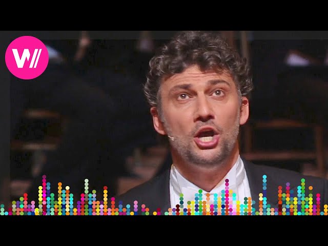 Jonas Kaufmann: Franz Lehár - Dein ist mein ganzes Herz | Opernball 2017