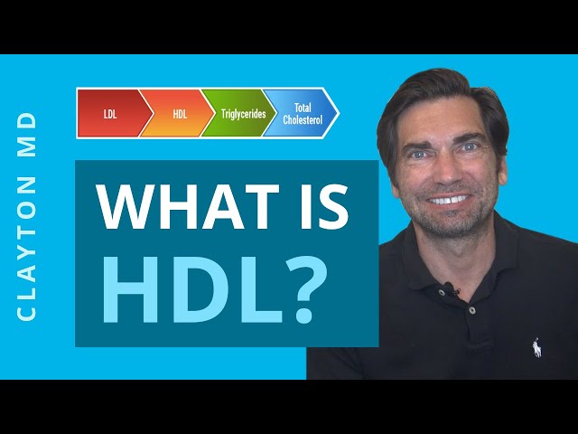 What is HDL? How to Improve HDL Naturally