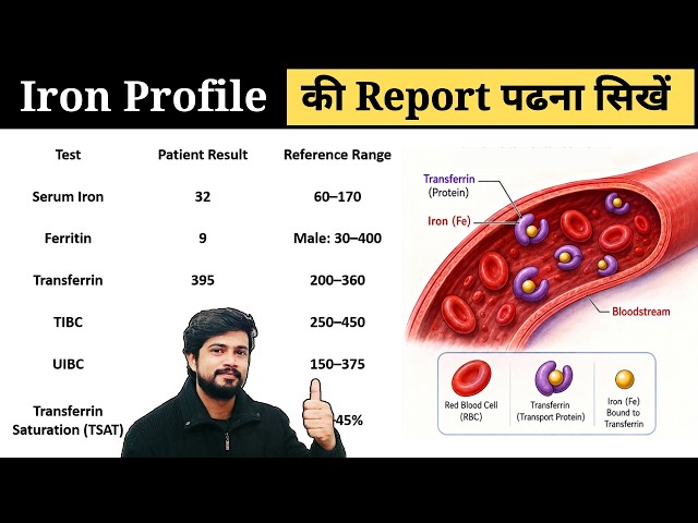 Iron Profile Test Kya Hota Hai? Ferritin, TIBC, UIBC, Transferrin, Serum Iron | Blood Test Report