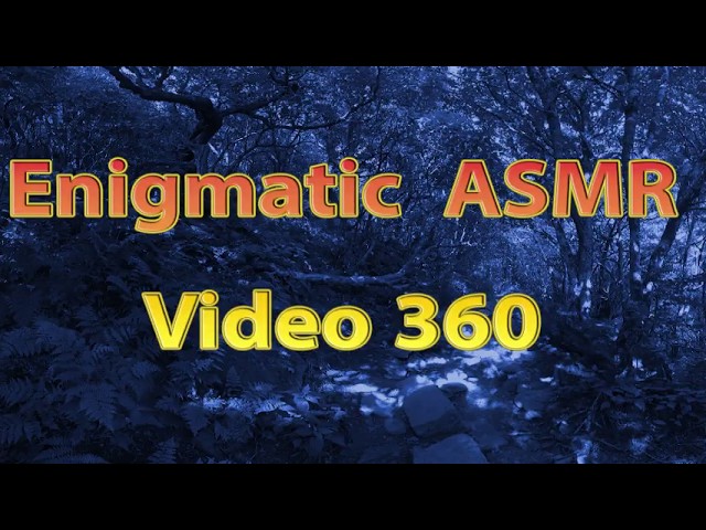 360° ASMR 30 minutes of tapping No-talk 5 items used