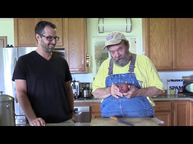 Bill & Joe Taste Ndea (Nauclea latifolia)
