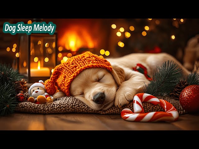 Relaxing Dog Music 🦮 Calming Piano for Sleep • Help Dogs Relax, Rest & Feel Safe 💖 NO ADS