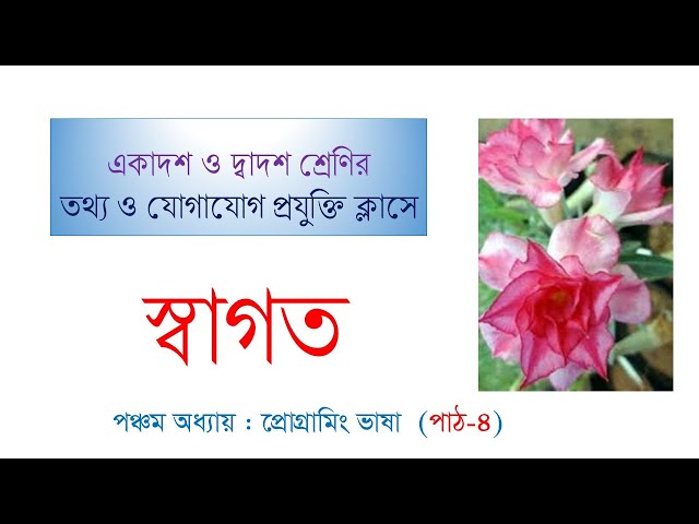 HSC ICT | 5TH CHAPTER | PROGRAMMING LANGUAGE | PART 4